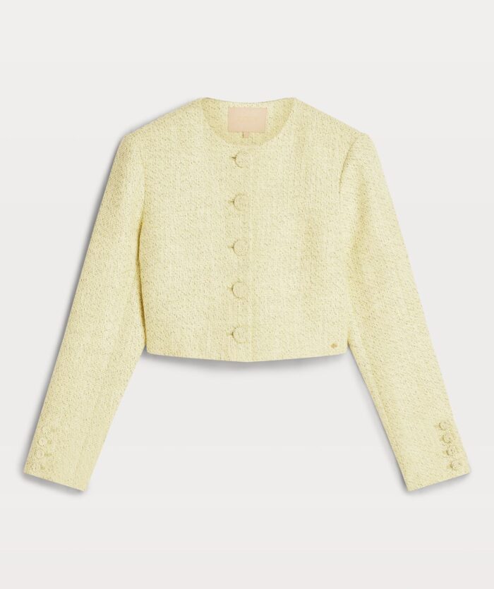 Blazer REMI Josh V 8